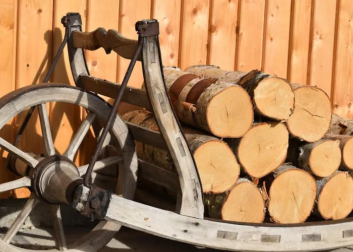 Reiterhaeusl 펜션 람자우 암 다흐스타인